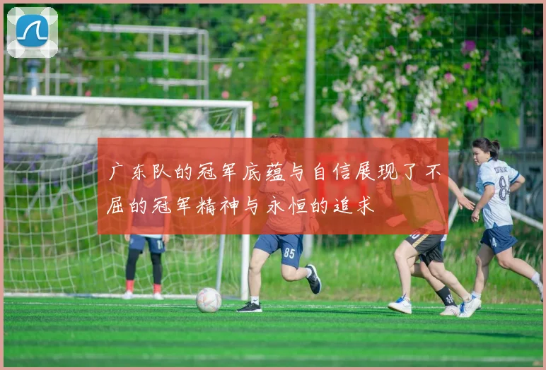 广东队的冠军底蕴与自信展现了不屈的冠军精神与永恒的追求